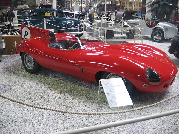 Jaguar D-Type - 1954