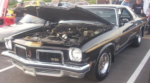 Oldsmobile 442 - 1973